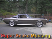 Super Snake Cobra